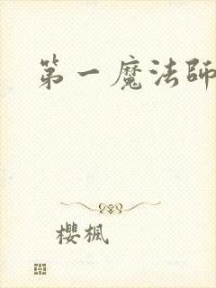 第一魔法师