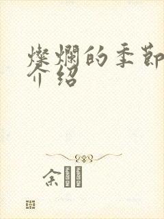 灿烂的季节剧情介绍