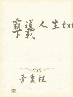 霸道人生txt下载