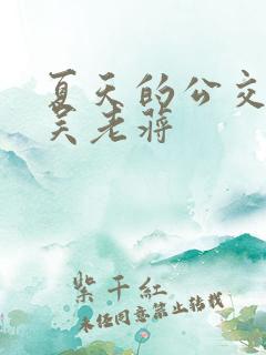 夏天的公交车老吴老蒋