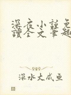 深夜小说免费阅读全文笔趣阁