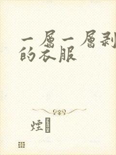 一层一层剥掉你的衣服