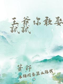 王爷你敢娶小三试试