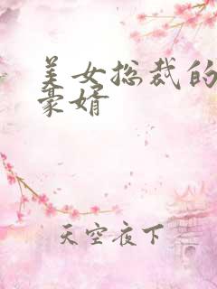 美女总裁的顶级豪婿