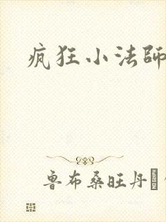 疯狂小法师
