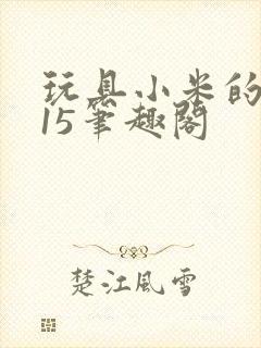 玩具小米的1一15笔趣阁