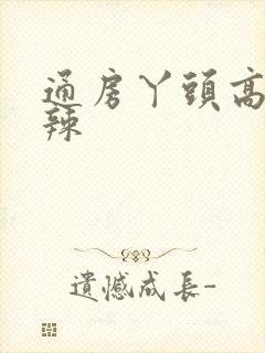 通房丫头高h肉辣