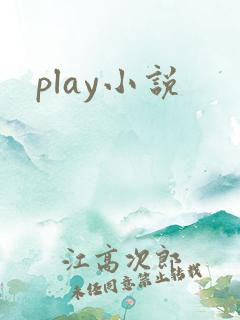 play小说
