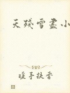 天残雪尽小说