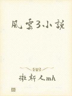 风云3小说