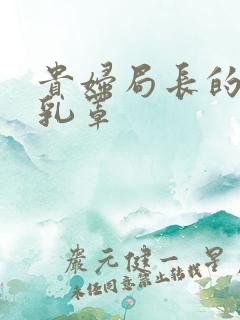 贵妇局长的蕾丝乳罩