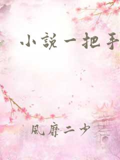 小说一把手