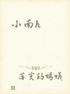 小南h
