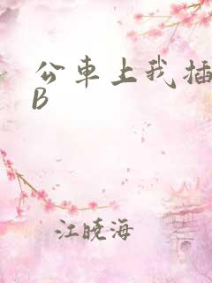公车上我插上骚B