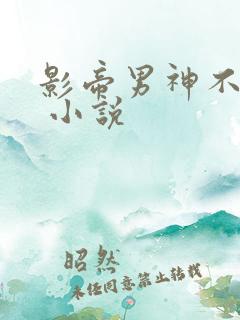 影帝男神不节制 小说