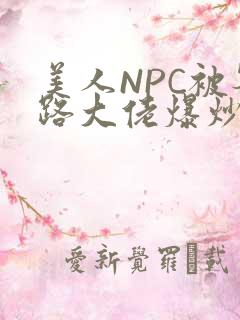 美人NPC被各路大佬爆炒小说