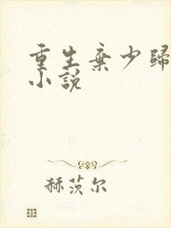 重生弃少归来 小说