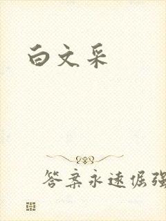 白文采