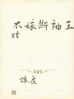 不嫁断袖王爷txt