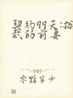 契约99天:总裁的前妻