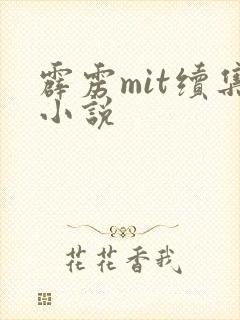 霹雳mit续集小说