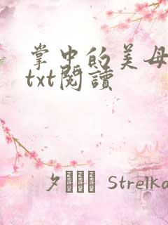 掌中的美母版主txt阅读