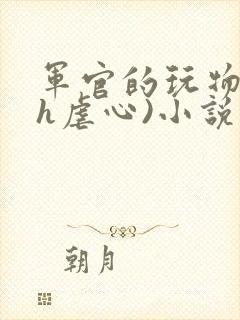 军官的玩物(高h虐心)小说