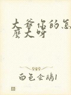 大爷你的怎么这么大呀