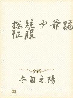 总统少爷跪地唱征服