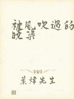 被风吹过的夏天晓渠