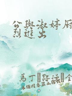 公与淑婷厨房猛烈进出