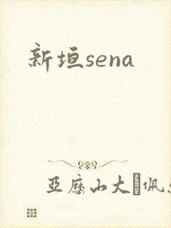 新垣sena