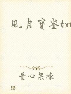 风月宝鉴txt