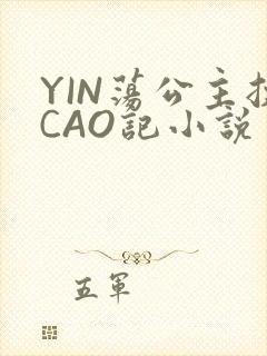 YIN荡公主挨CAO记小说