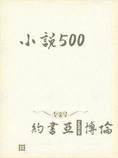 小说500