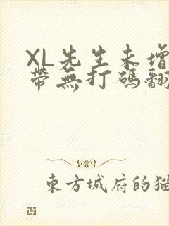 XL先生未增删带无打码翻译