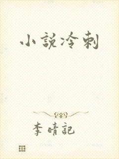 小说冷刺