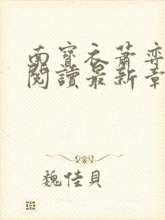 南宝衣萧弈免费阅读最新章节