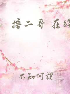 撸二哥 在线
