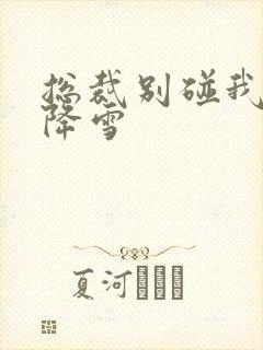 总裁别碰我 韩降雪