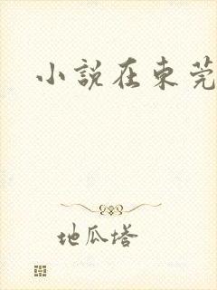 小说在东莞