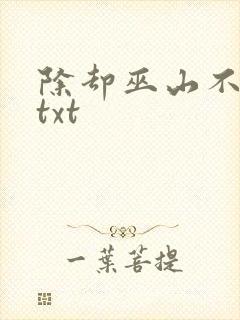 除却巫山不是云txt