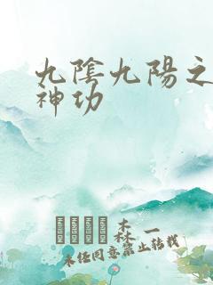 九阴九阳之阴阳神功