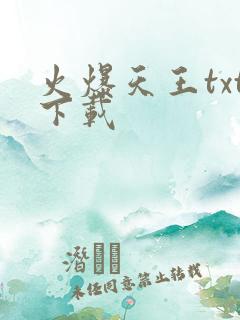 火爆天王txt下载
