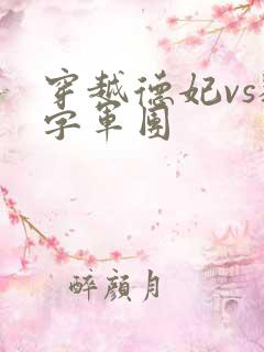 穿越德妃vs数字军团