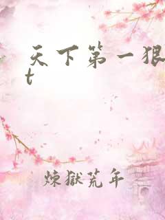 天下第一狠txt