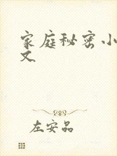 家庭秘密小说全文