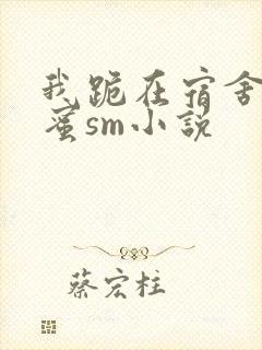 我跪在宿舍被闺蜜sm小说