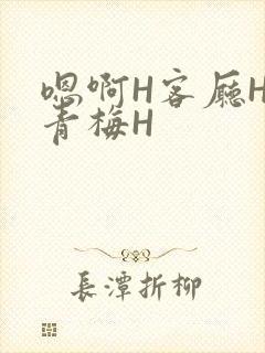 嗯啊H客厅HH青梅H
