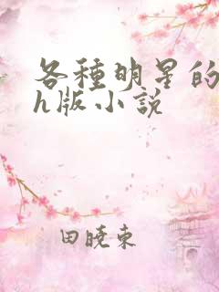 各种明星的综艺h版小说